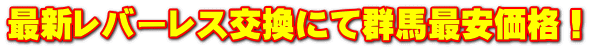 最新レバーレス交換にて群馬最安価格!